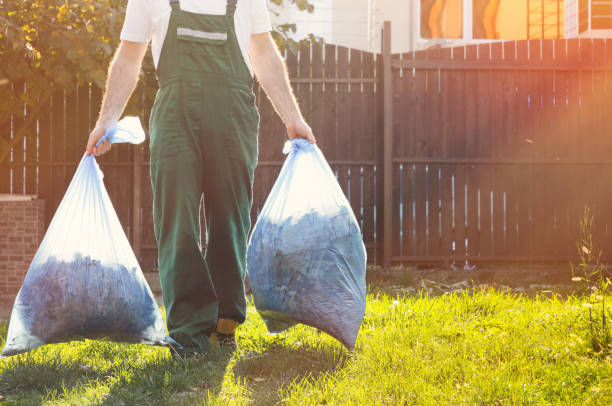 Best Electronics and E-Waste Disposal  in Windsor, VA